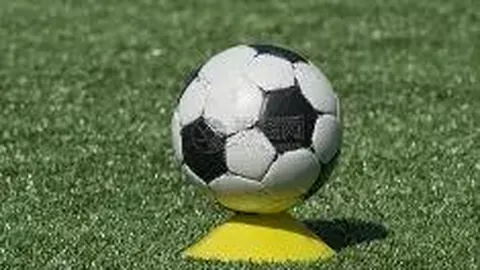 CBA取消第五节潜力赛，转投中国篮球发展联赛新战略